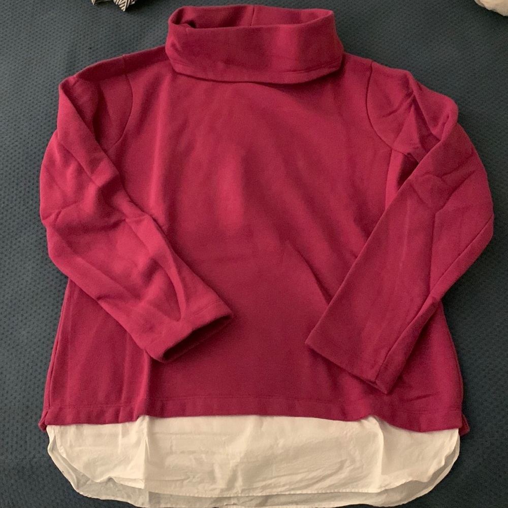 Jcrew cowl sweatshirt